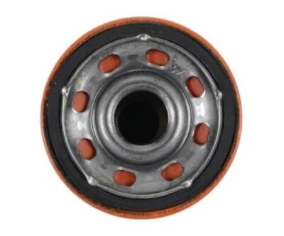 РАМОЧНЫЙ МАСЛЯНЫЙ ФИЛЬТР GM 6/CS- PH10060 - Изображение 1 из 4