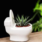 Unique Succulent Pot Ceramics White Mini Toilet Shape Porcelain Flower Planter 