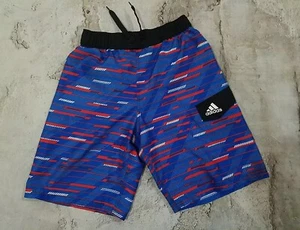 Youth Boys Large Adidas Swim Shorts With Liner - Picture 1 of 7