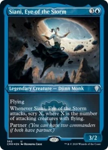 MTG SIANI, EYE OF THE STORM FOIL EXC - SIANI, STURMAUGE - CMR-X EN - Bild 1 von 1