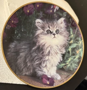 Purrfection Dekoteller von Nancy Matthews. Nummerierte limitierte Zugabeplatte. - Bild 1 von 5