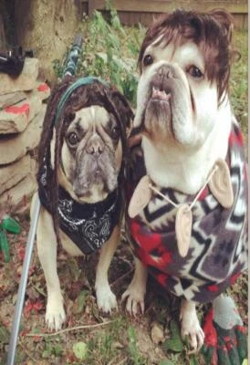 Synthetic Pet Wig Dogs Cats Wig LOVELY Dog Cat SUPPLIER Synthetic Pet Wig Dogs