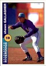 1996 Charleston Riverdogs Team Issue #9613 Shawn Gallagher Wilmington NC Card
