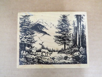 PSX Intercambio de Sellos Personales Sello de Goma Bosque de Montaña 3.95" x 4.95 K-2583 Foto 1 de 4