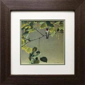 Robert Bateman "Colibrí Garganta Rubí Masculino" ENMARCADO Arte Vida Silvestre Naturaleza Ave - Imagen 1 de 3