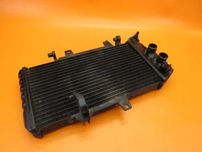 Radiador OEM BMW F800 F800R 2009-2014 Foto 1 de 4