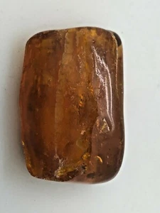 Ancient Baltic Amber - 50/60 MYO  -TWO Unidentified Insects Inside - 01177 - Picture 1 of 3