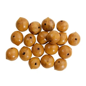15mm Chunky Round Nutshell Beads Natural Earthy Brown 18pcs Loose Vintage Mix - Picture 1 of 1