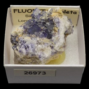 FLUORITA Violeta (Sierra de Ponce, Lorca, Murcia, España) #26973 / Fluorite - Picture 1 of 1