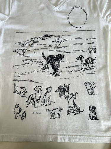 Foto 1 di 9