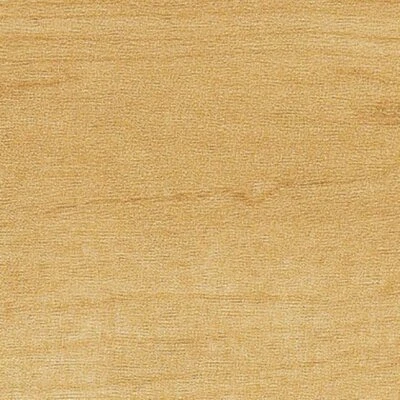 Mannington Nature's Path Comercial LVT CERRADURAS ARCE SÓLIDO NATURAL12119s Foto 1 de 3