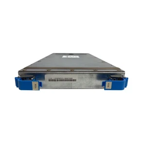 Tarjeta de memoria IBM 21P6500 8 GB 500 MHz - Imagen 1 de 1