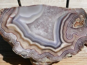 TCR LAGUNA (ALIANZA) AGATE/JASPER/LAPIDARY POLISHED HALF 551 GRAMS - Picture 1 of 4