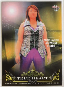 Tarjetas coleccionables de lucha libre profesional independiente 01-2010 BBM para mujer - Imagen 1 de 13