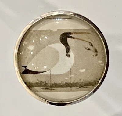 Charley Harper Wood Ibis Shore Bird Waterbird 1" Glass Sewing Button CH671 - Image 1 of 2