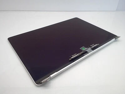 Conjunto de pantalla LCD original Apple Retina 15" MacBook Pro A1707 2016 2017 plateado Foto 1 de 4
