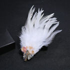 1X Adult Rhinestone Feather Brooch Accessories for Carnival Stage Party Brooch
