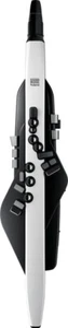 Roland Aerophone AE-20 Digital Wind Instrument Synthesizer - Picture 1 of 15