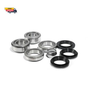 Noisy Bearing overhaul kit for BMW 210mm case differential fits E46 M3, E39 M5