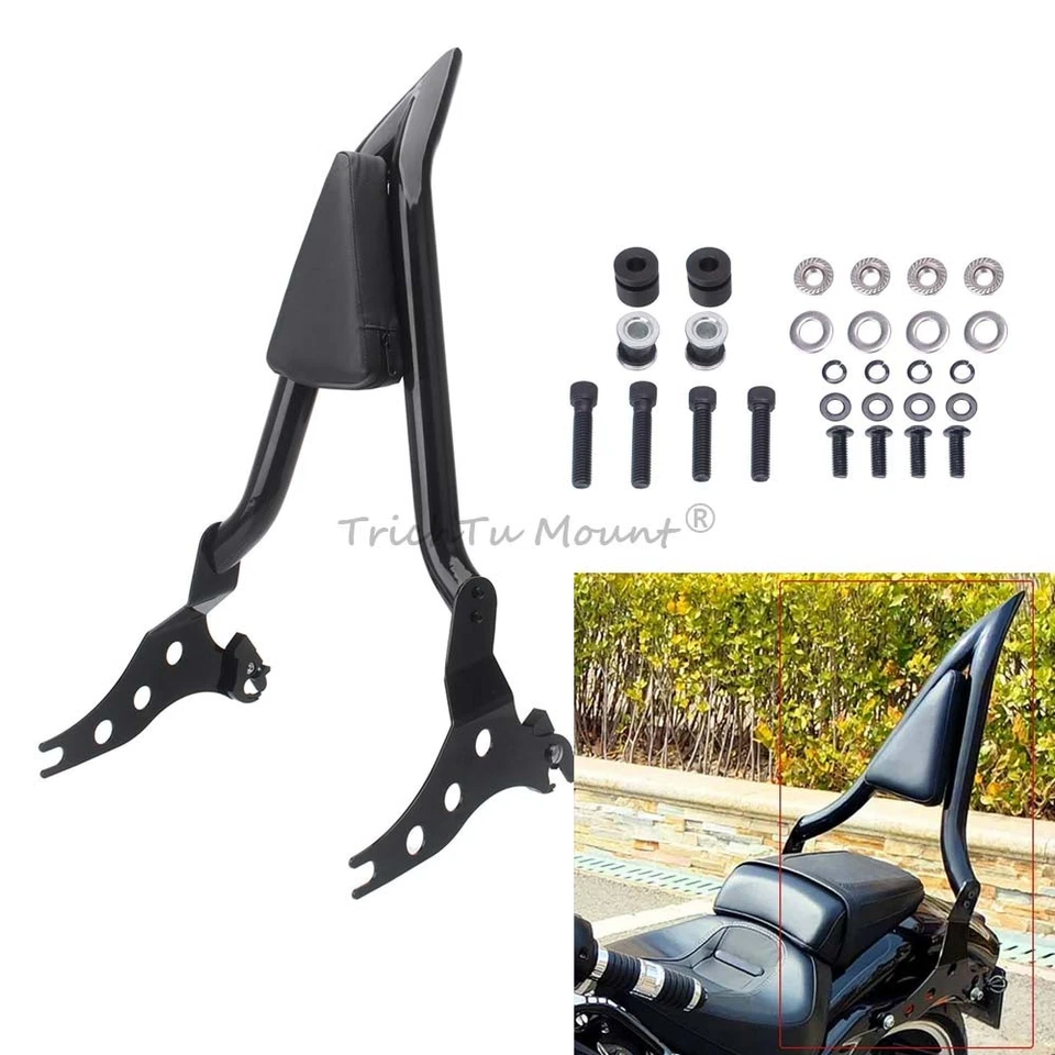 Rear Passenger Backrest Sissy Bar For Harley Softail Breakout FXBRS 114 2018-21 Foto 1 de 4