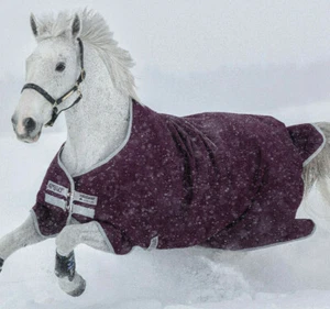 Horseware Amigo Hero Ripstop Turnout Rug Medium weight 200g Fill Fig 3'9"-7'0" - Picture 1 of 6