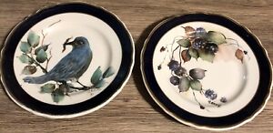 Sterling China Plates Eliverpool, OH. M-6 Hand Painted Signed 7” Set 2
