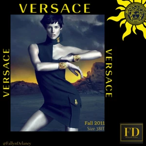 Versace Runway/Editorial Dress Fall/Winter 2011 Size 38IT - Picture 1 of 4