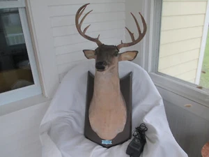 Gemmy Buck the Animated Deer Trophy Singing Talking Wall Mounted TESTED WORKING - Picture 1 of 13