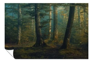 Early Morning Mysterious Forest Artistic Poster Wall Art Home Decor - Picture 1 of 4