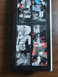 Akira Amano Mostra Katekyo Hitman REBORN Personaggio PostCollezione akuran - Foto 1 di 1