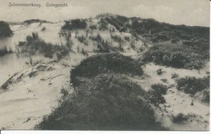 PC28184 Schiermonnikoog. Duingezicht. Weenenk - Bild 1 von 2