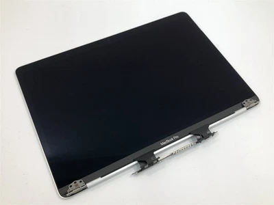 Apple MacBook Pro A1989/2159 Display Assembly Silver Grade C 661-10357 661-12830 - Image 1 of 4