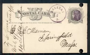 1878 ZALESKI O. y CUÑA elegante cancelar en púrpura en tarjeta 1 ¢, archivo perforador agujeros - Imagen 1 de 1