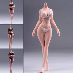 YM501 BJD 1/6 Mujer Busto Grande Flexible Delgado Cintura Regordeta Caderas Cuerpo F 12" Figura - Imagen 1 de 24