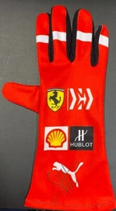 SEBASTIAN VETTEL SIGNED GLOVE - Bild 1 von 2