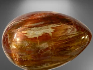 102mm 603Grm "Hand-Selected"~Madagascar Petrified Wood Crystal EASTER EGG R1395 - Picture 1 of 11