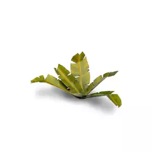 GamersGrass: Laser Plants - Banana Tree - Picture 1 of 5