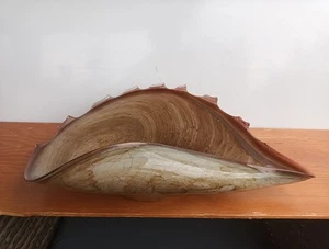 Muschelschale Retro-Stil, 40 X22 Cm Sandfarben, Schale Dekoration - Bild 1 von 5
