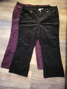 Classic Elements Woman Pants (2) Corduroy Black Burgandy Plus Sz 22W - Picture 1 of 9