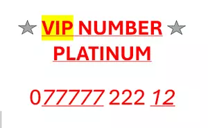VIP Nummer Easy Gold Platinum einprägsame Nummer EASY NUMBER '077777 222 12' - Bild 1 von 1