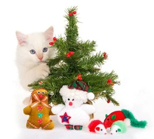 TRANSFER STAMPA MAGLIETTA T-SHIRT FELPA CUSCINO GATTO ALBERO  NATALE CHRISTMAS - Picture 1 of 1