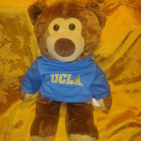 Vintage UCLA Joe Bruins Bear Plush Mascot with Hoodie on Cover