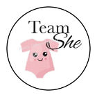 10cm Auto-Aufkleber Sticker Decal Farbe Team She Girl Baby Shower Mail R3112