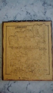 Vintage Amherst Erie County New York 1868 Land Owner Map - Picture 1 of 3