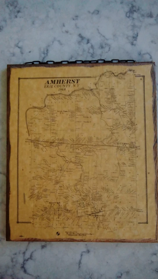 Vintage Amherst Erie County New York 1868 Land Owner Map - Image 1 of 3