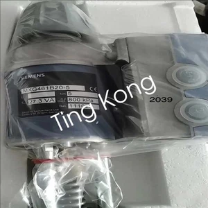 Válvulas de control reguladoras de presión Siemens MXG461B20-5 1 pieza - Imagen 1 de 11