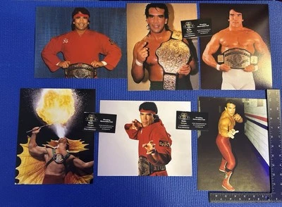 Ricky Steamboat Lote De 6 8x10 Lucha Libre Promo Fotos WWE WWF NWA WCW Dragon Foto 1 de 4