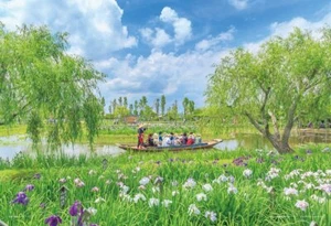 Yanoman 300 Piece Jigsaw Puzzle Iris and Fishing Boat in Chiba 26x38cm 03-939 - Picture 1 of 1