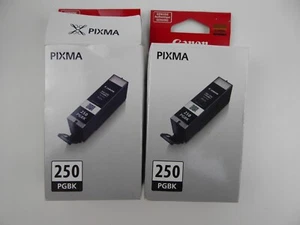 Canon PIXMA PGI-250 (PGBK) Black Ink Cartidges - 2 Pack - Open Box - Picture 1 of 6