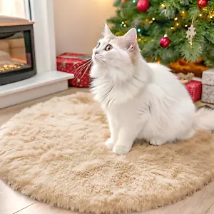Beige Round Rugs for Bedroom - Machine Washable, 2x2 Feet Circle Area Rugs for L - Picture 1 of 6